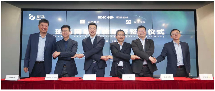 开放的斑马，受益的不止尊龙凯时